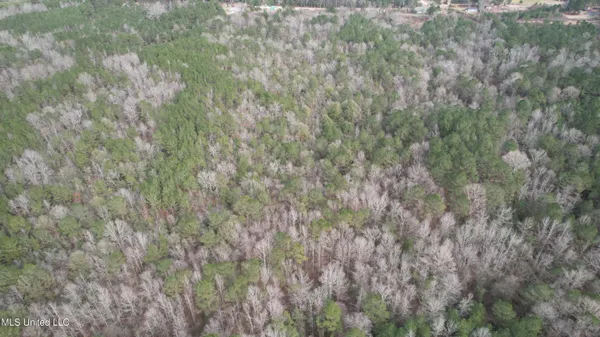 $181,000 | 0 Hawpond Church Road, Magee, MS 39111