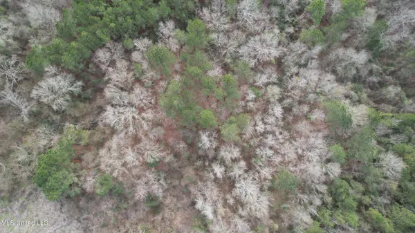 $181,000 | 0 Hawpond Church Road, Magee, MS 39111