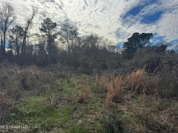 $181,000 | 0 Hawpond Church Road, Magee, MS 39111