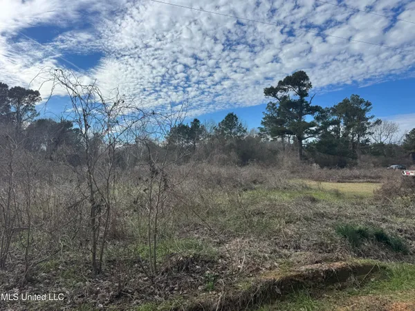 $181,000 | 0 Hawpond Church Road, Magee, MS 39111