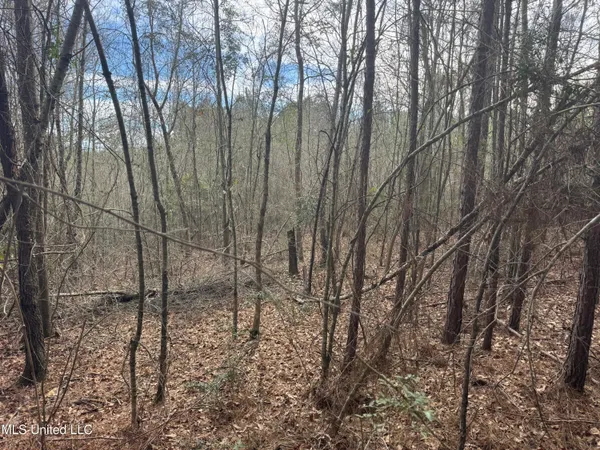 $181,000 | 0 Hawpond Church Road, Magee, MS 39111