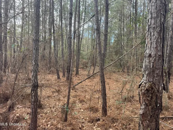 $181,000 | 0 Hawpond Church Road, Magee, MS 39111