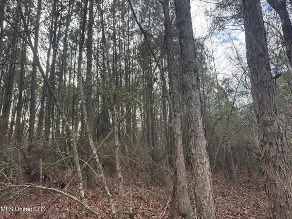 $181,000 | 0 Hawpond Church Road, Magee, MS 39111