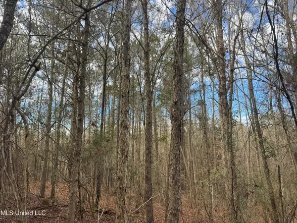 $181,000 | 0 Hawpond Church Road, Magee, MS 39111