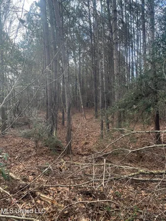 $181,000 | 0 Hawpond Church Road, Magee, MS 39111