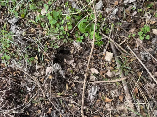 $181,000 | 0 Hawpond Church Road, Magee, MS 39111