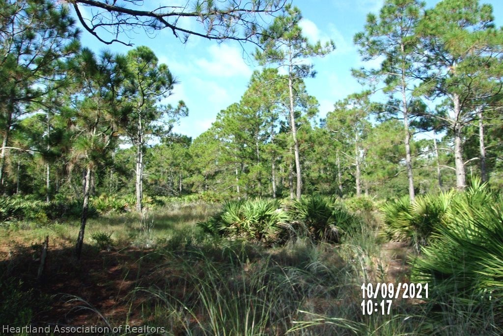 6513 Apricot Road Sebring, FL 33875 - Photo 1 of 12 Gallery Image 1