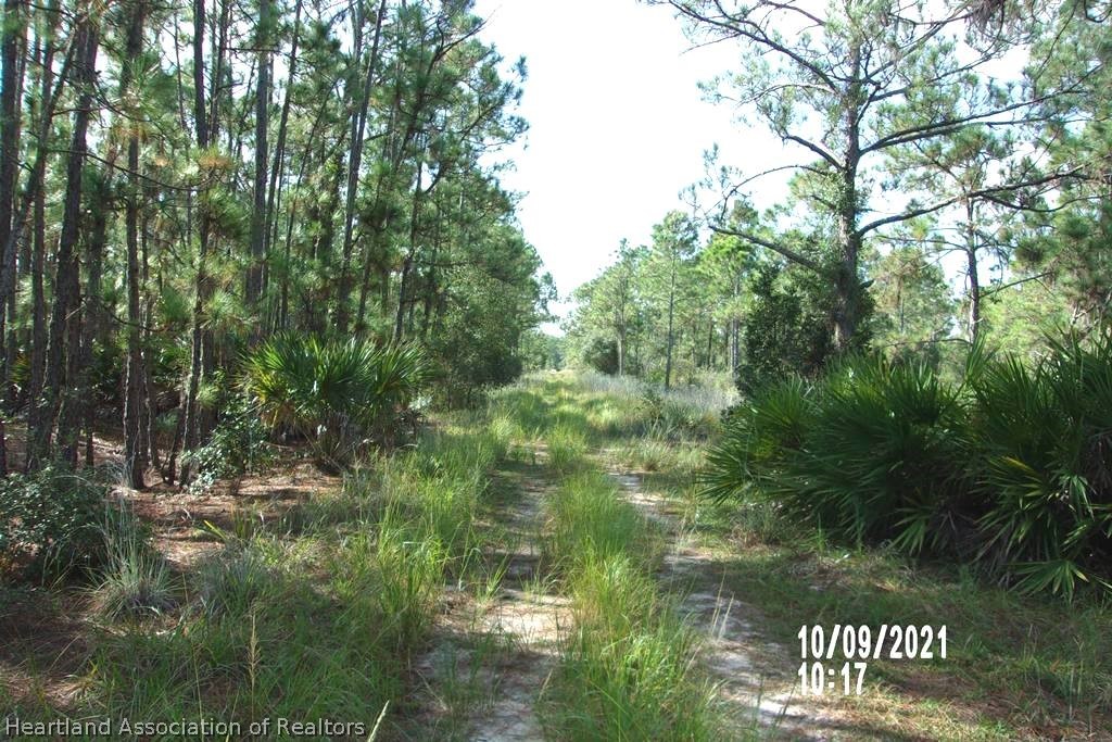 6513 Apricot Road Sebring, FL 33875 - Photo 2 of 12 Gallery Image 2