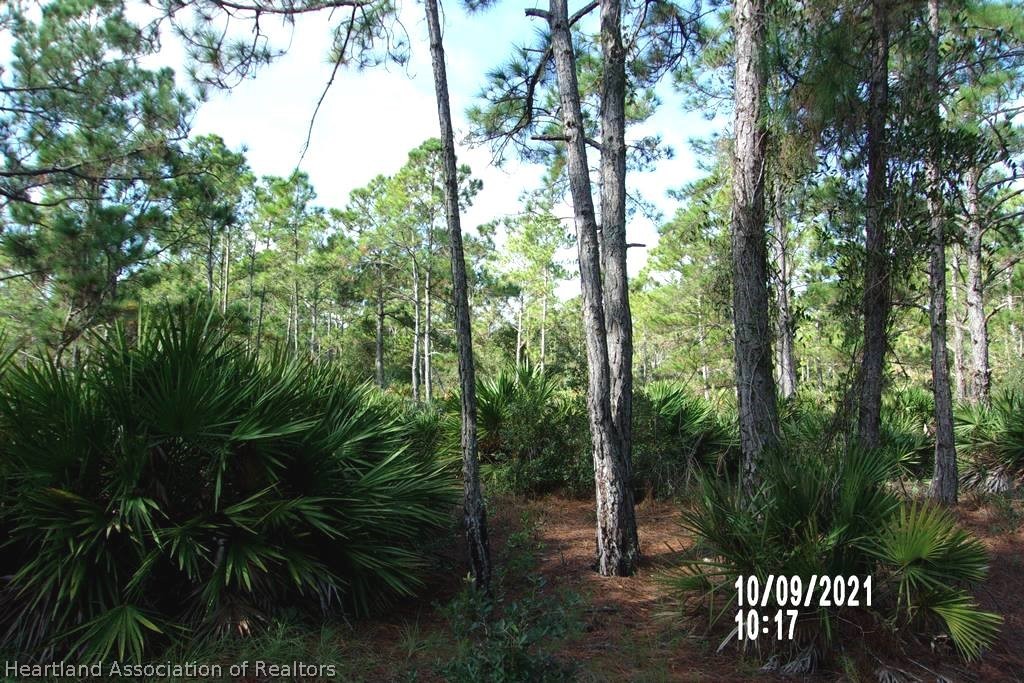 6513 Apricot Road Sebring, FL 33875 - Photo 6 of 12 Gallery Image 6