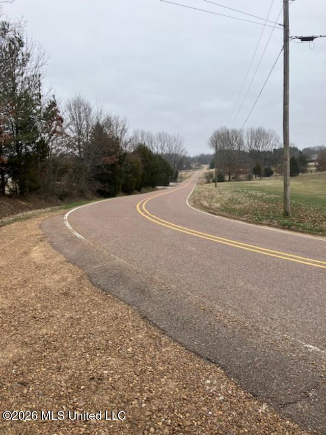 2 Hudson Road Hernando, MS 38632 - Photo 4 of 4 Hudson Rd street view east 1-25