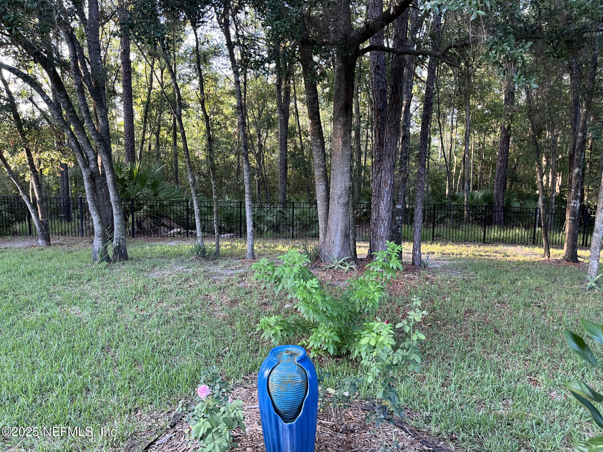 5573 Casavedra Court Jacksonville, FL 32244 - Photo 27 of 34 a view of outdoor space and garden