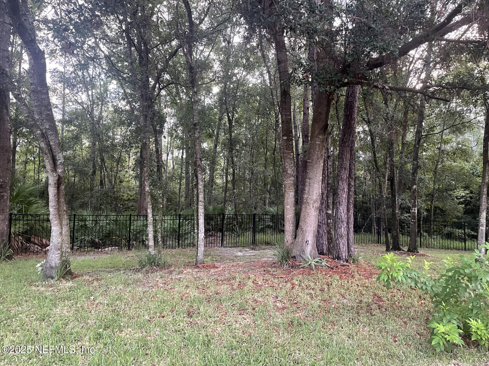 5573 Casavedra Court Jacksonville, FL 32244 - Photo 28 of 34 a backyard of a house with lots of trees