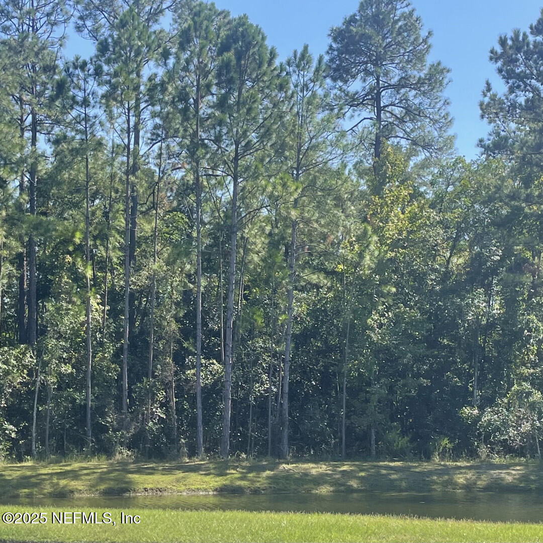 5573 Casavedra Court Jacksonville, FL 32244 - Photo 32 of 34 a view of a yard with green space