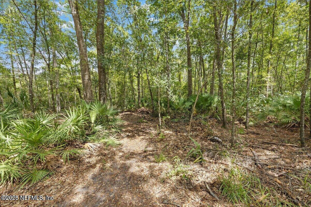 5573 Casavedra Court Jacksonville, FL 32244 - Photo 33 of 34 a view of forest