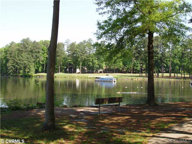3009 Sagegrove Road Midlothian, VA 23112 - Photo 17 of 19 Other
