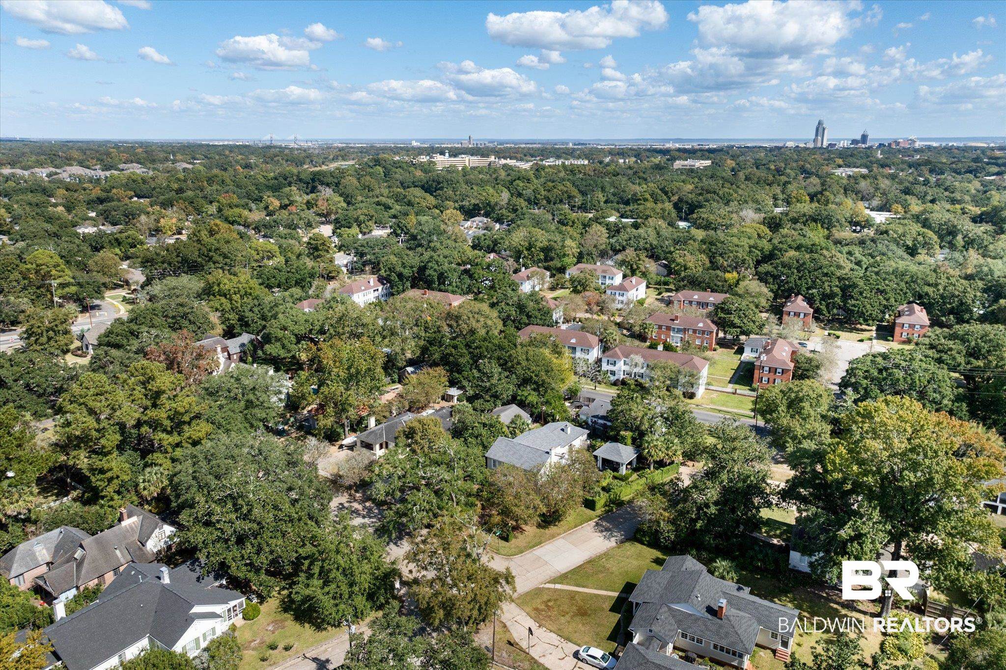 202 Woodlands Avenue Mobile, AL 36607 - Photo 48 of 53 Bird's eye view