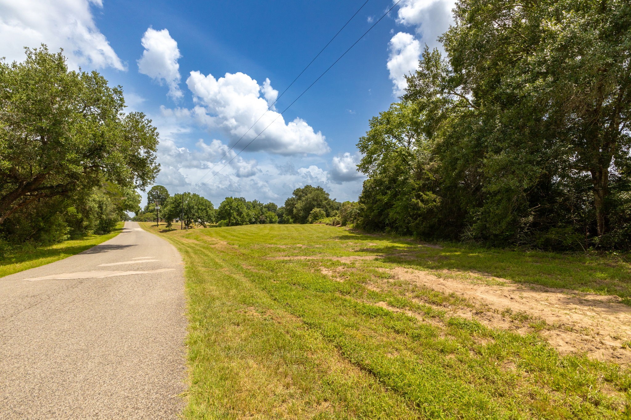 1195 Track Road New Ulm, TX 78950 - Photo 45 of 49 a view of a yard with swimming pool