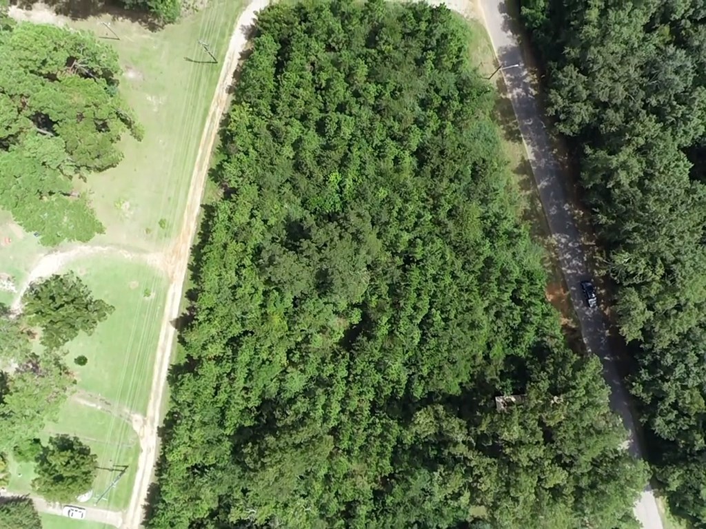 2.59 Cypress Rd/dexter Rd/ Worrell Street Eufaula, AL 36027 - Photo 8 of 9