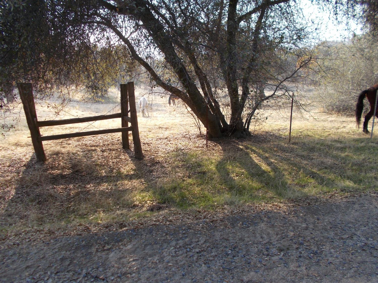 39940 Millwood Road Dunlap, CA 93621 - Photo 23 of 28 Gallery Image 23