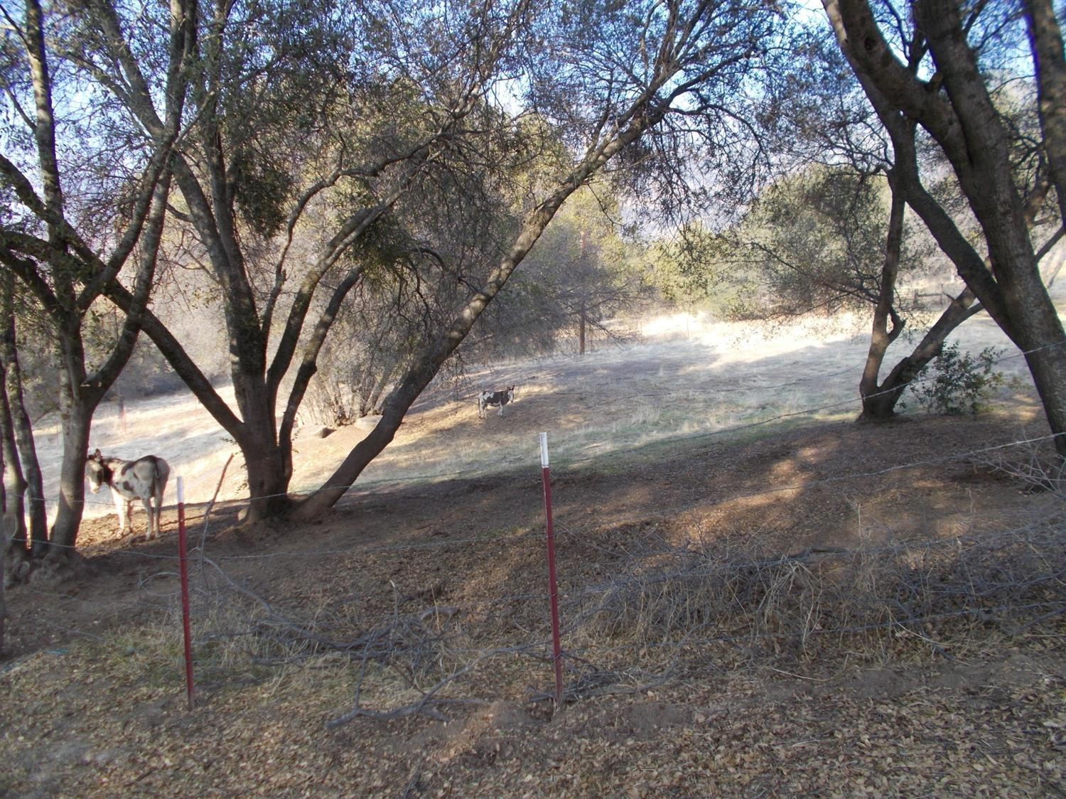 39940 Millwood Road Dunlap, CA 93621 - Photo 24 of 28 Gallery Image 24