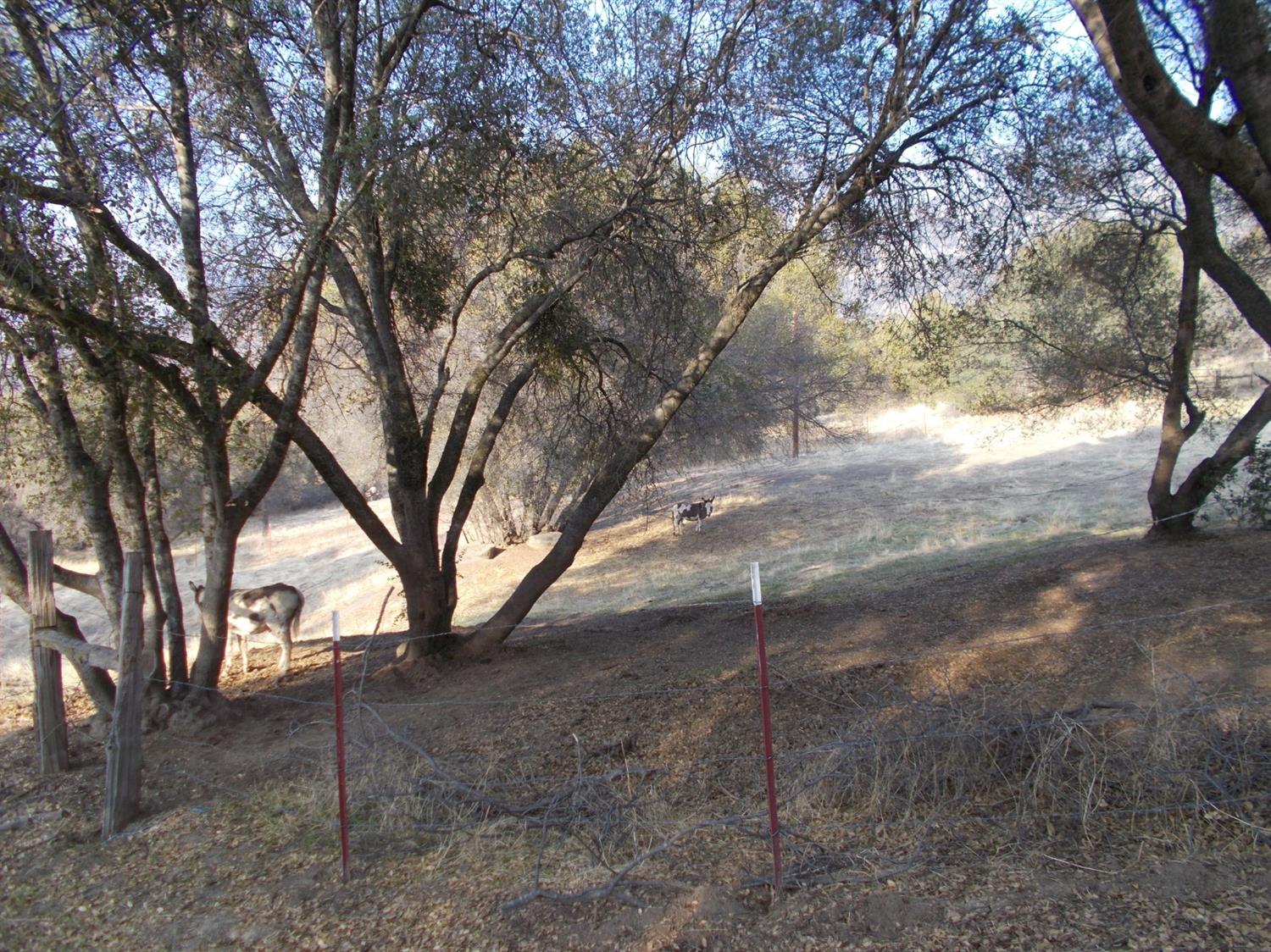 39940 Millwood Road Dunlap, CA 93621 - Photo 25 of 28 Gallery Image 25