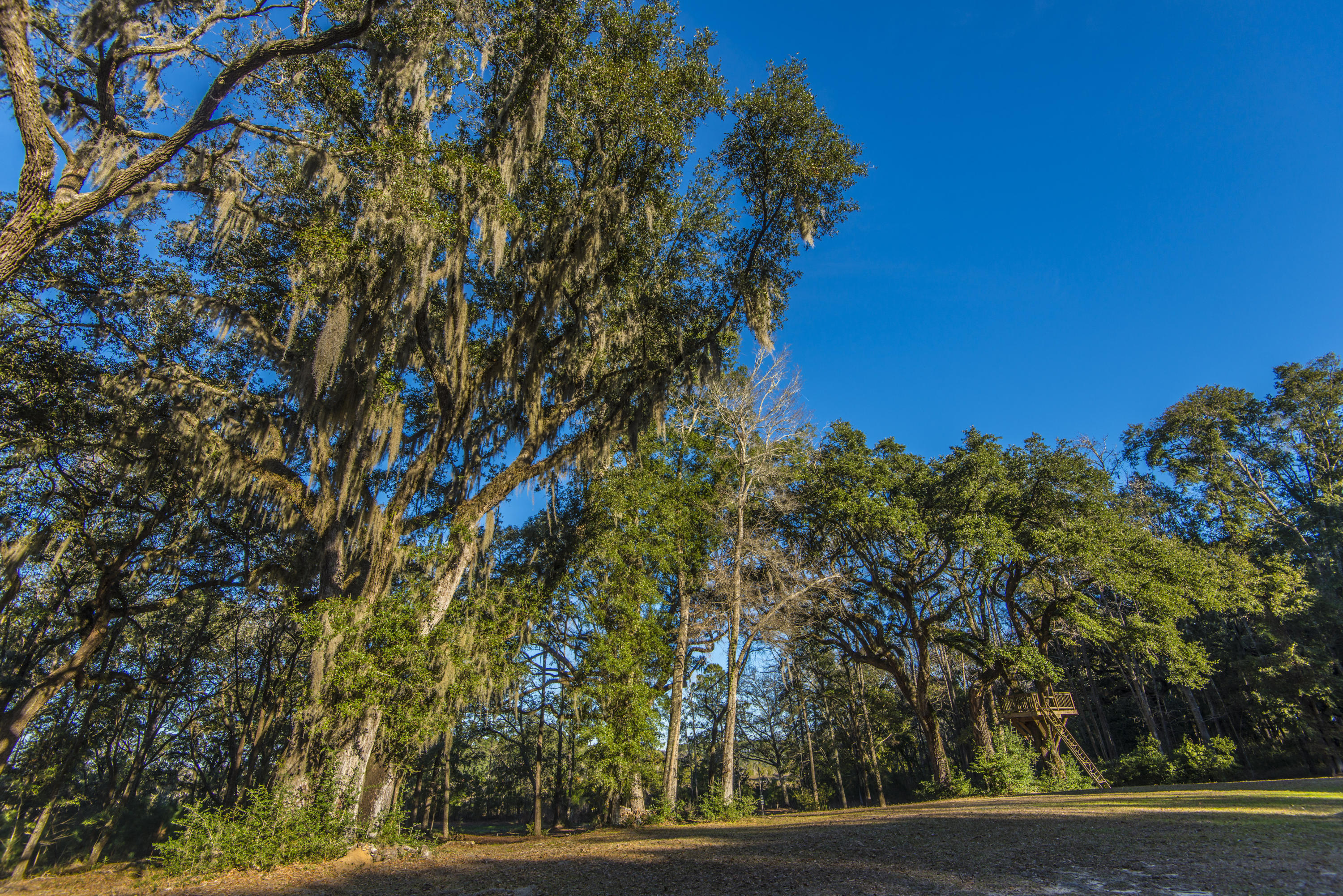 6364 Ranch Road Wadmalaw Island, SC 29487 - Photo 22 of 65 _DSC9177