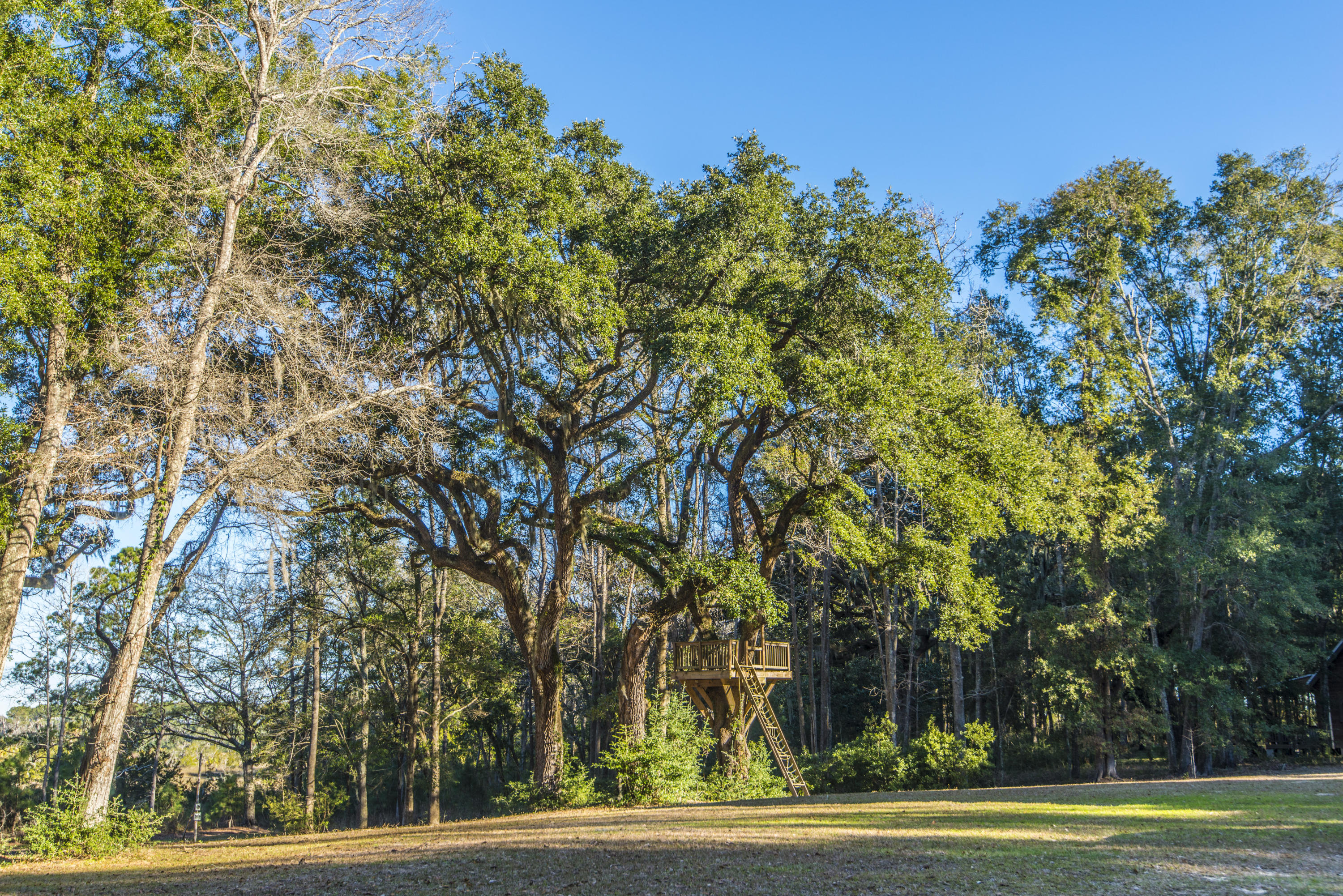 6364 Ranch Road Wadmalaw Island, SC 29487 - Photo 23 of 65 _DSC9178