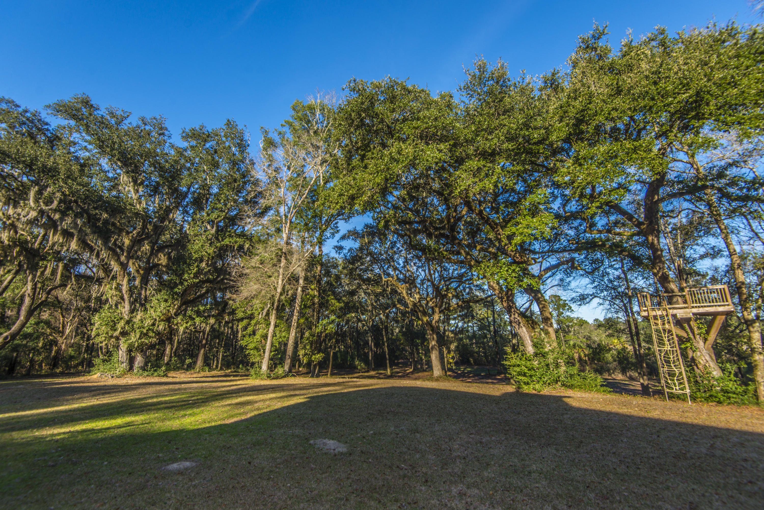 6364 Ranch Road Wadmalaw Island, SC 29487 - Photo 31 of 65 _DSC9194