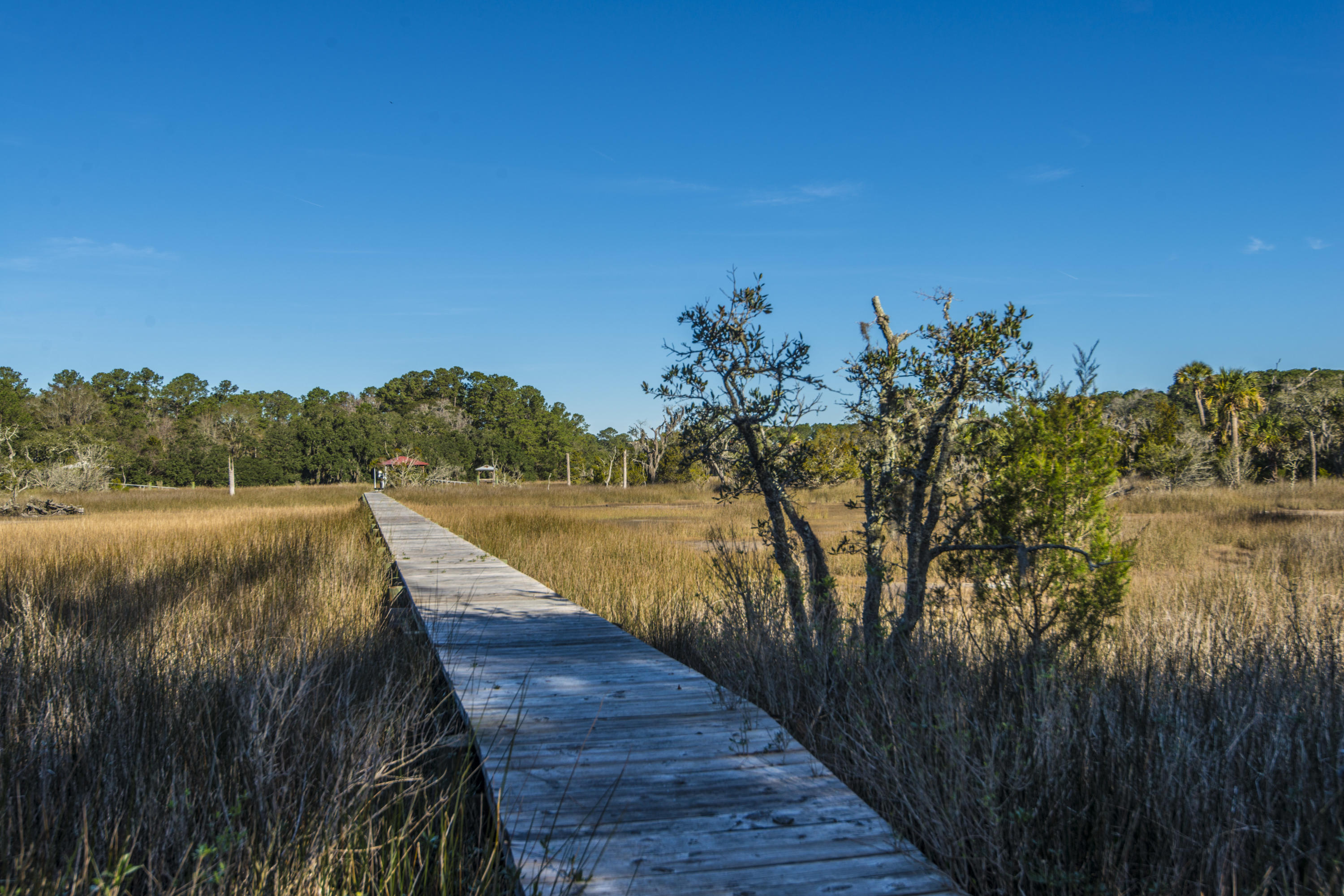 6364 Ranch Road Wadmalaw Island, SC 29487 - Photo 53 of 65 _DSC9241