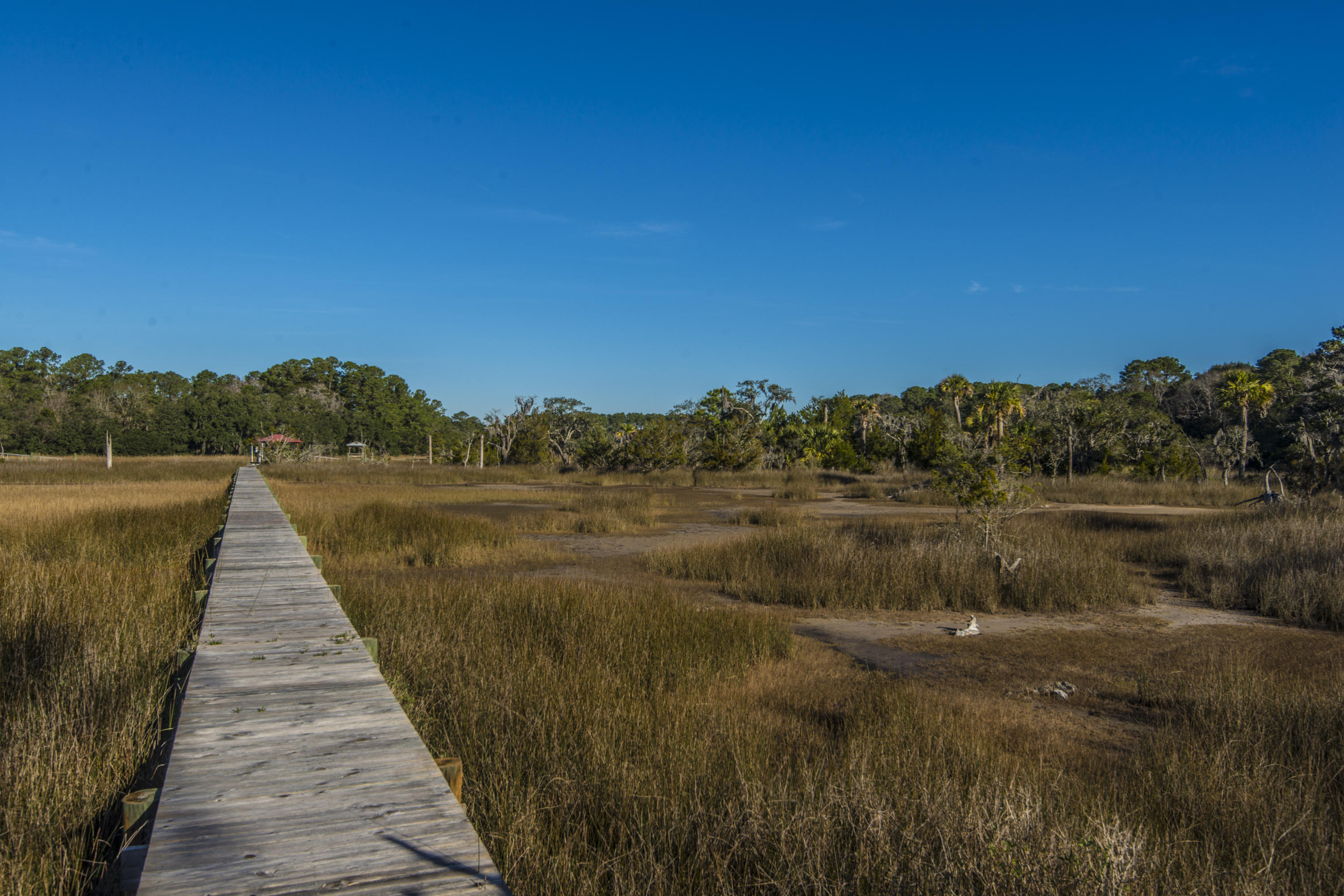 6364 Ranch Road Wadmalaw Island, SC 29487 - Photo 54 of 65 _DSC9242