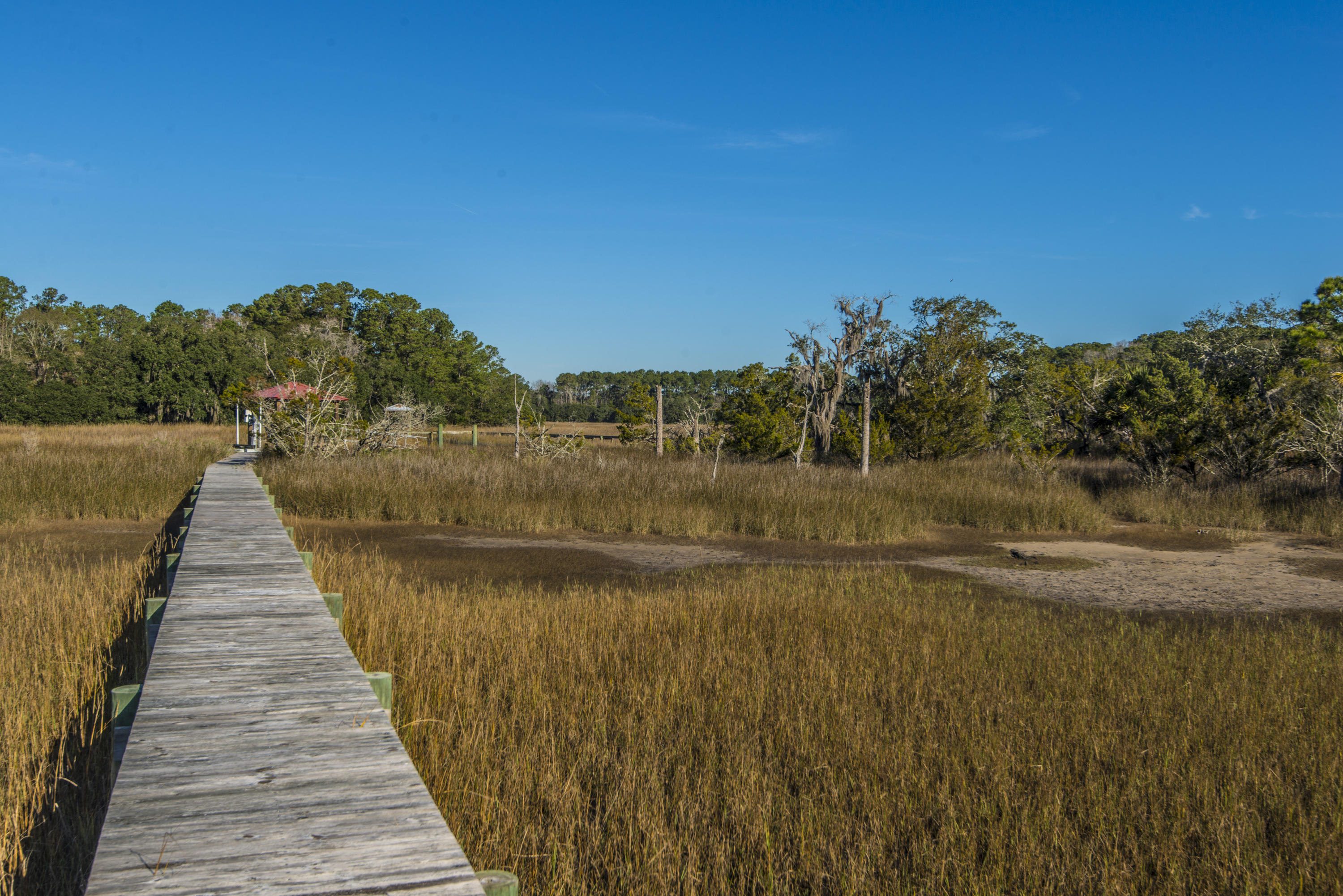 6364 Ranch Road Wadmalaw Island, SC 29487 - Photo 56 of 65 _DSC9244
