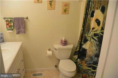 289 Monastery Ridge Road Stephenson, VA 22656 - Photo 18 of 30 Main level full hall bath