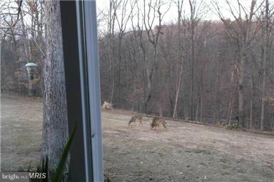 View of rear of property from all season room
