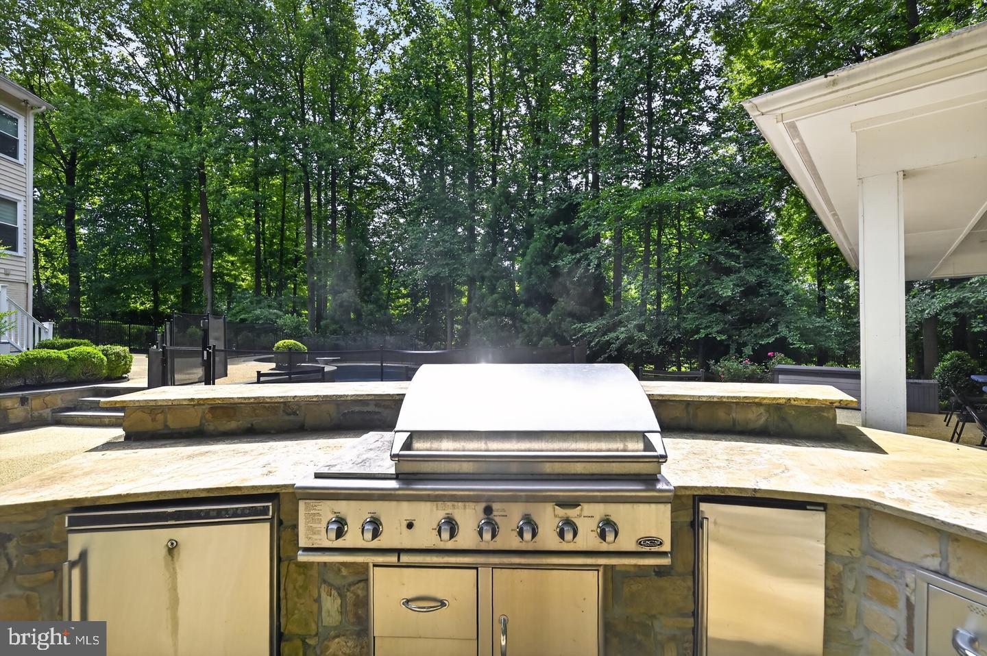 10301 Forest Maple Road Vienna, VA 22182 - Photo 64 of 67 Outdoor Kitchen: Grill, Fridge, Warmer, Ice Maker