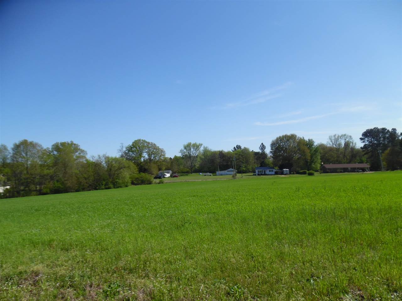 13 Homestead Road Adamsville, TN 38310 - Photo 1 of 14 Gallery Image 1