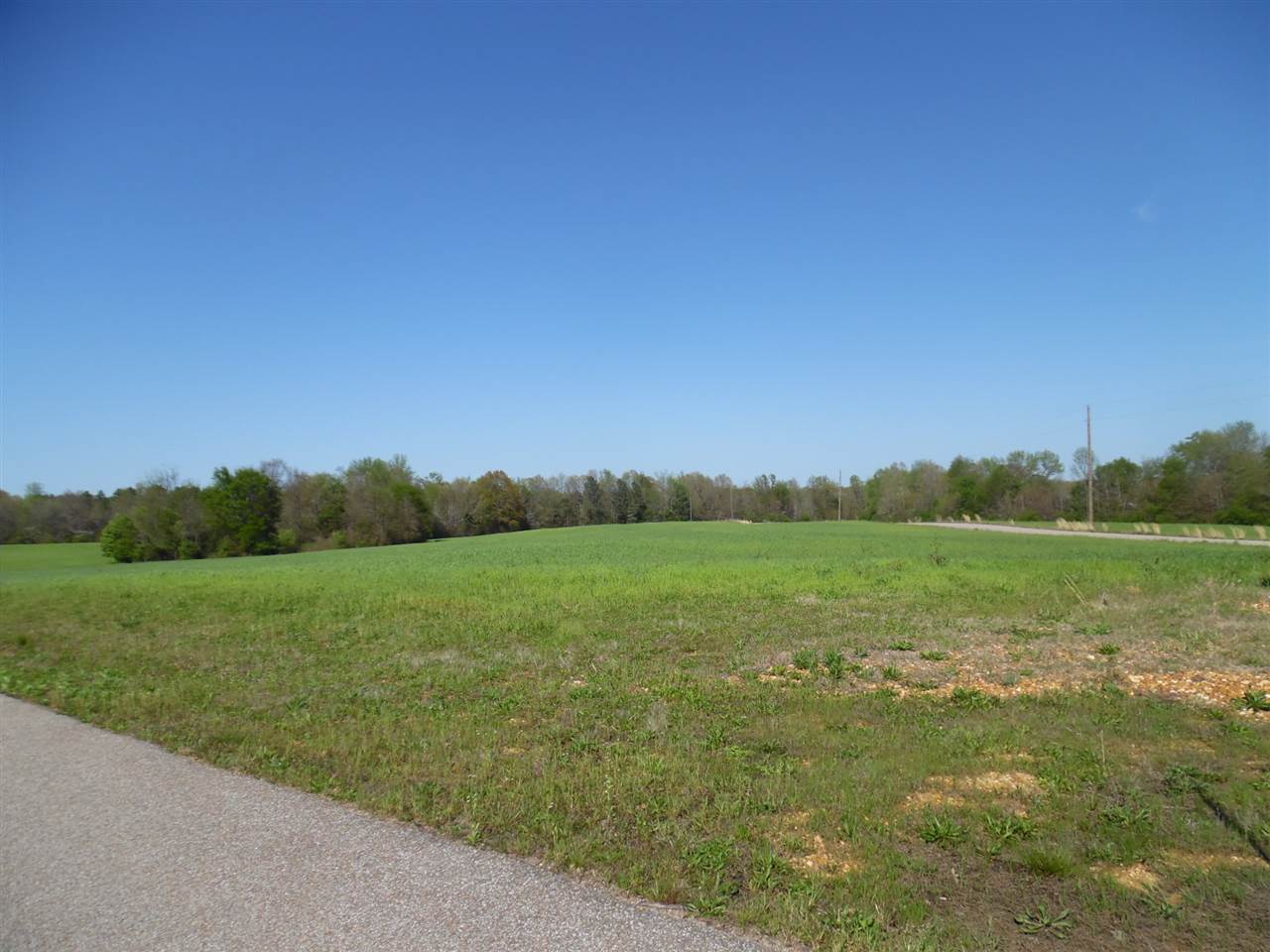 13 Homestead Road Adamsville, TN 38310 - Photo 8 of 14 Gallery Image 8