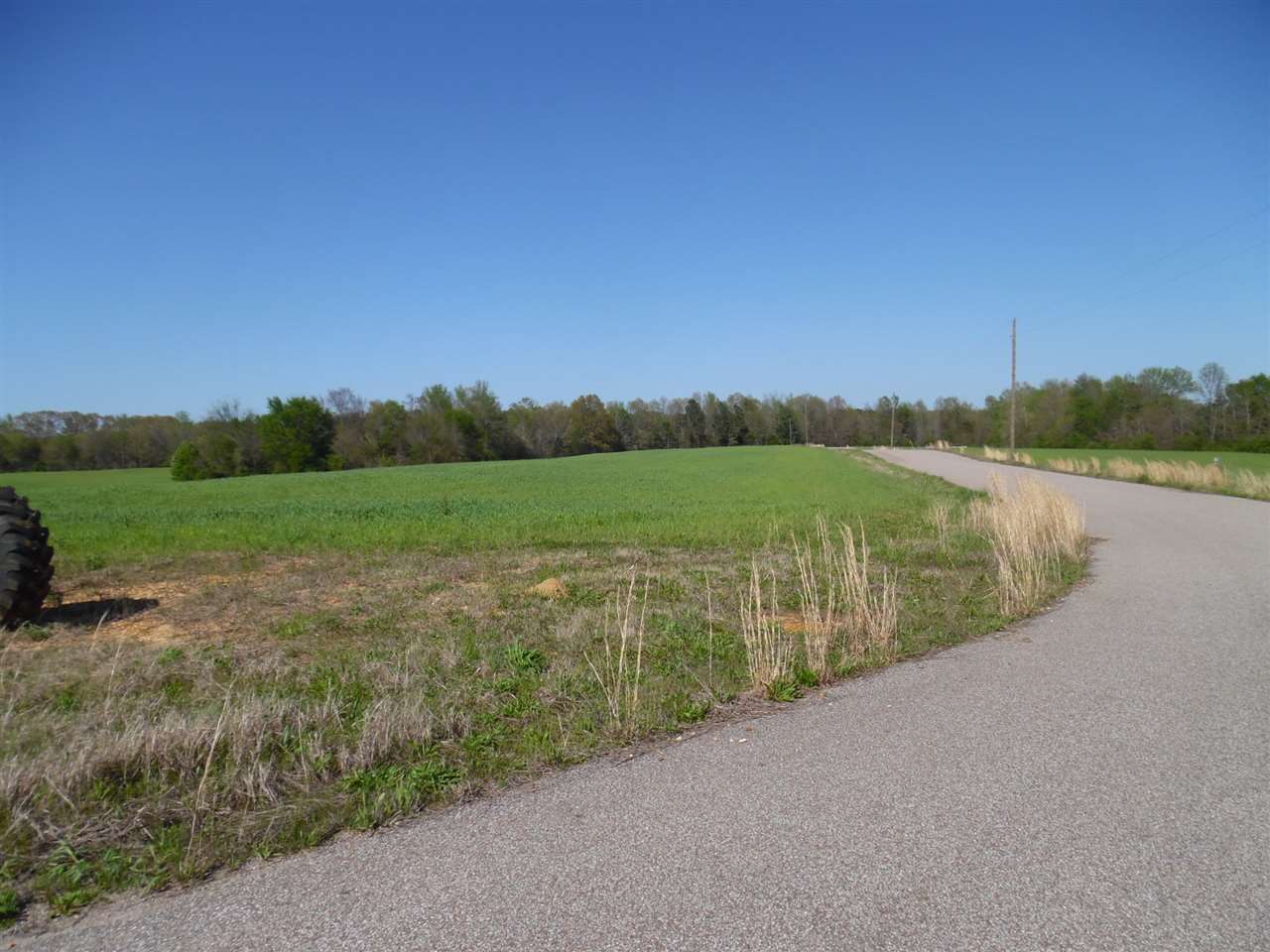 13 Homestead Road Adamsville, TN 38310 - Photo 9 of 14 Gallery Image 9