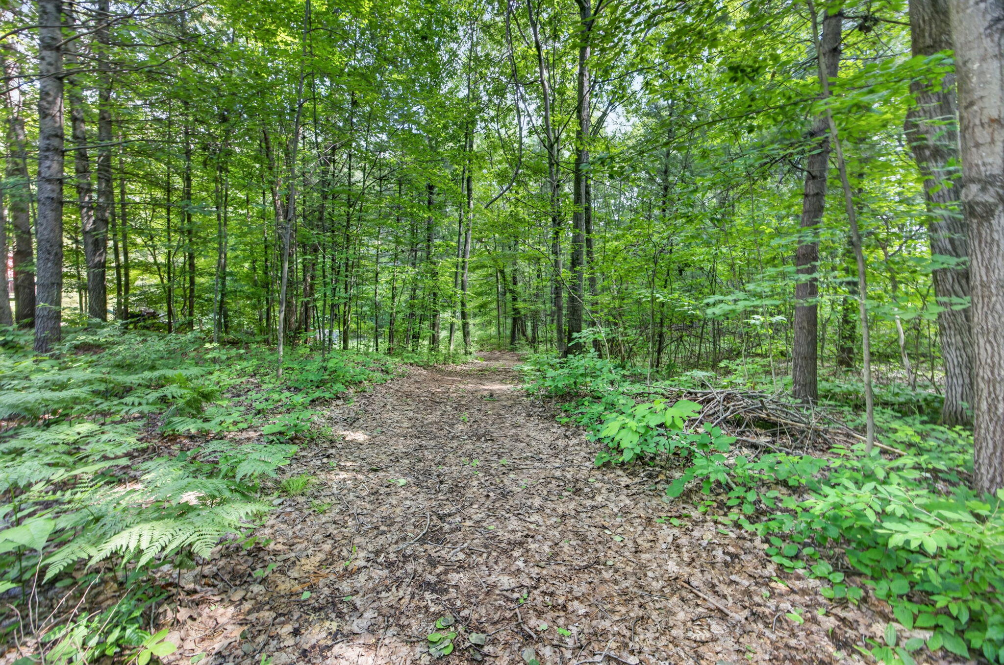 21643 11 Mile Road Big Rapids, MI 49307 - Photo 51 of 69 69-web-or-mls-085_3Y2A3516