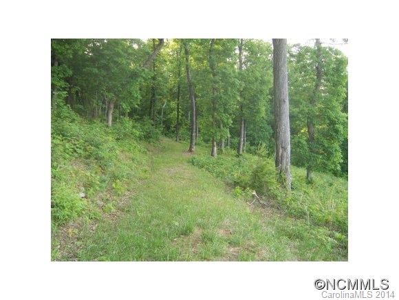 Lot 608 Little Falls Road, Unit 608 Tryon, NC 28782 - Photo 4 of 12 a open area with trees in the background