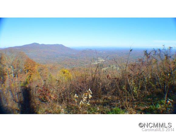 Lot 608 Little Falls Road, Unit 608 Tryon, NC 28782 - Photo 7 of 12 a black and white photo of a forest