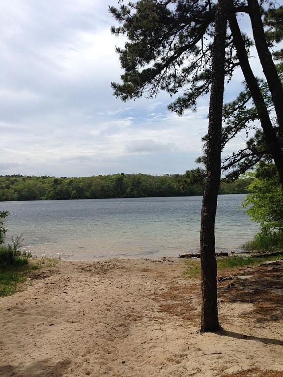 131 Bakers Pond Road Orleans, MA 02653 - Photo 15 of 15 Additional Photo