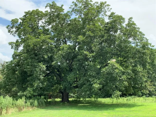 $2,250 | 590 County Road 1570, Alba, TX 75410