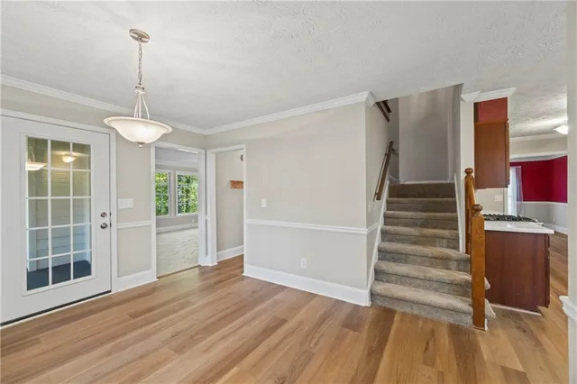 a view of a yard with plants and large trees