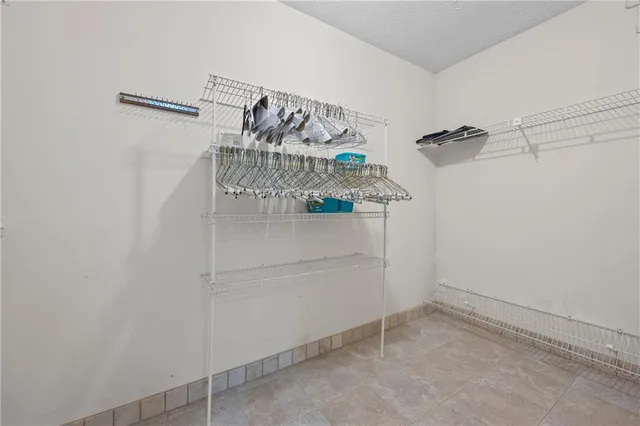 a view of a tree with a plant