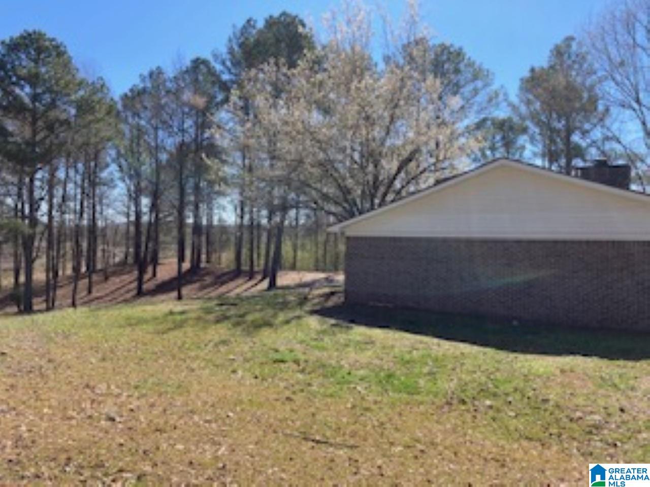 1116 Bailey Springs Road Ohatchee, AL 36271 - Photo 6 of 24