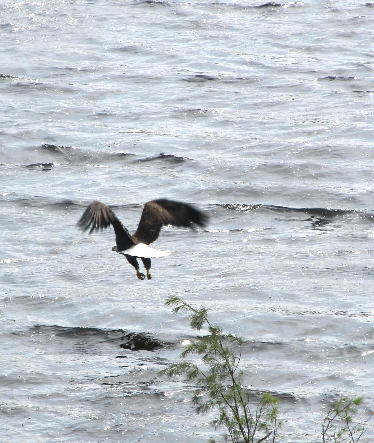 79.95-ac County Rd FF Hancock, WI 54943 - Photo 11 of 66