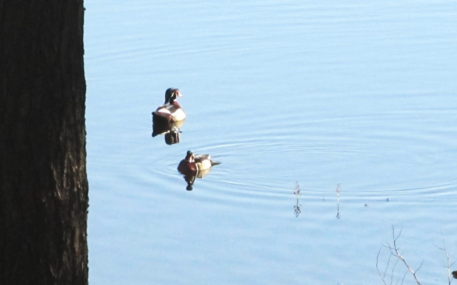 79.95-ac County Rd FF Hancock, WI 54943 - Photo 14 of 66