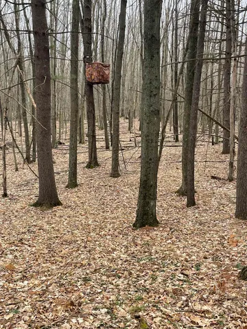 $700,000 | 79.95-ac County Road Ff, Hancock, WI 54943