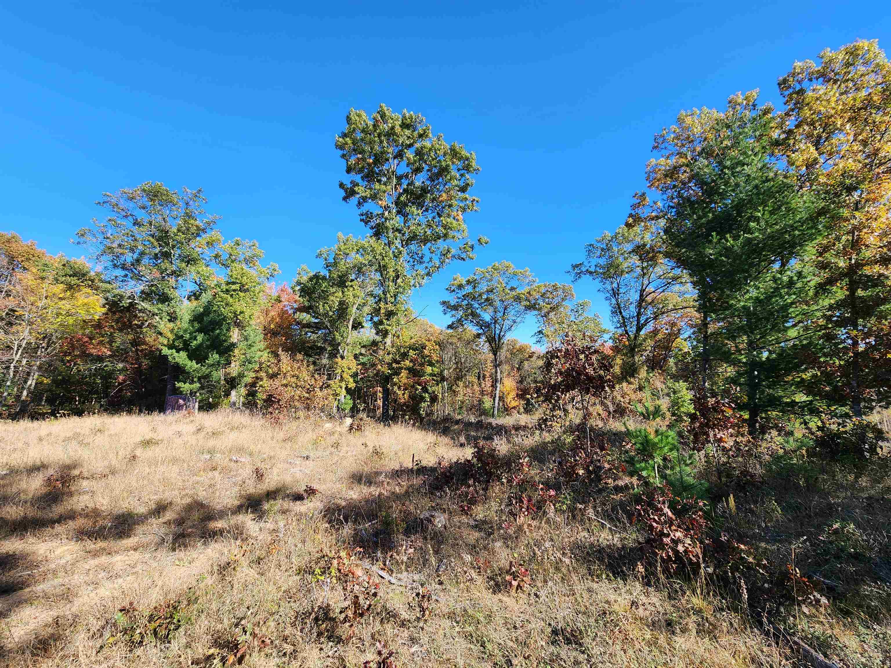 79.95-ac County Rd FF Hancock, WI 54943 - Photo 6 of 66