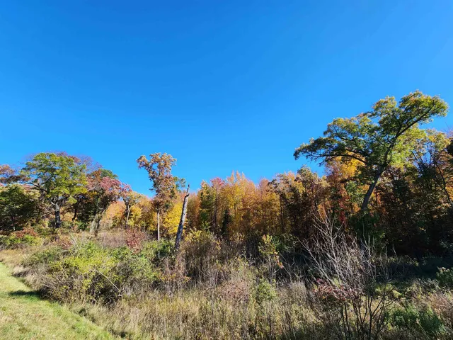 $700,000 | 79.95-ac County Road Ff, Hancock, WI 54943